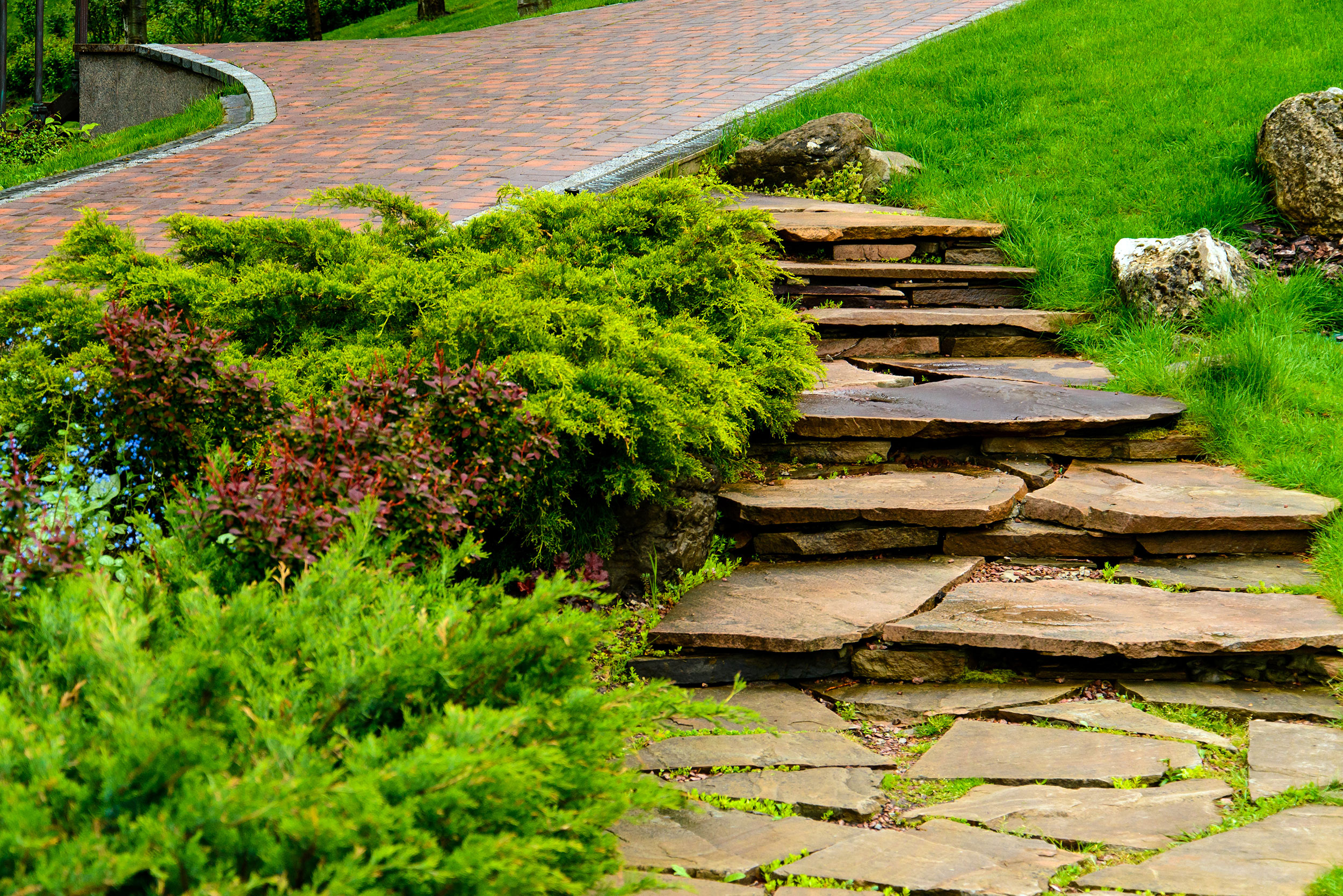 A stone path with landscaped shrubs to the left