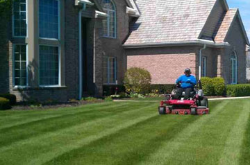 A large lawn mower being ridden in a yard