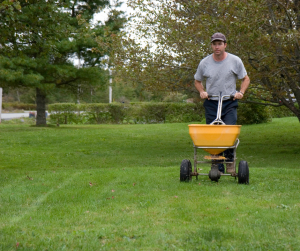 man fertilizing grass