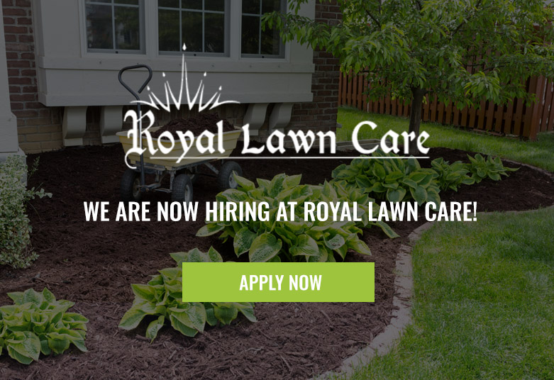 Royal Lawn care Hiring Pop Up 