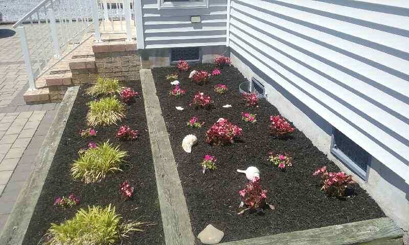 Flower bed with mulch