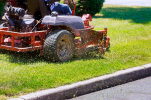 Lawn mowing close up