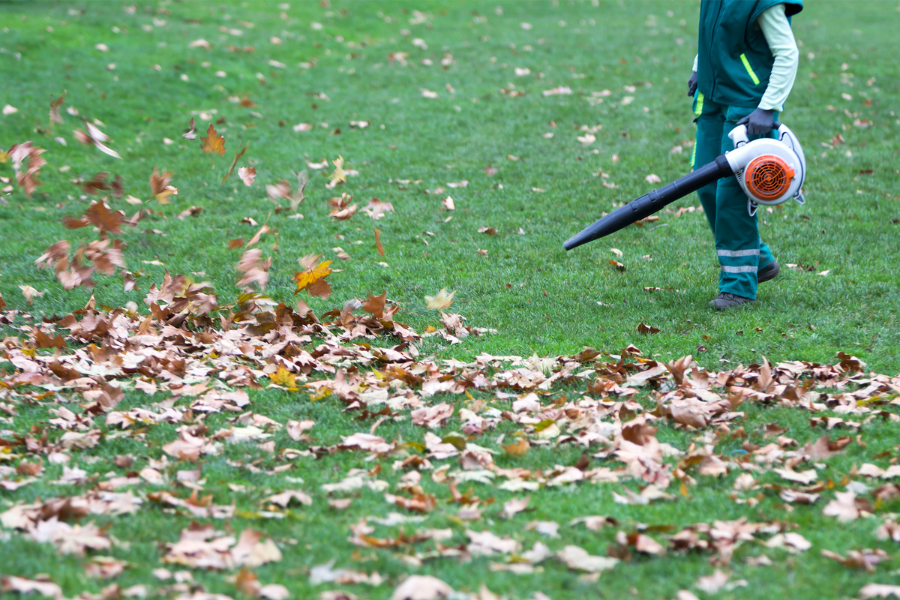 person using leaf blower in a green lawn
