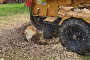 stump removing