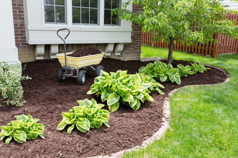 A bucket of mulch in the middle of a yard with green plants