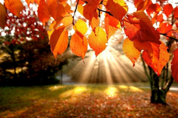 Some Helpful Tips for the Fall Season fall lawn