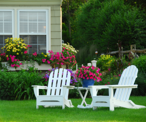 Summer lawn