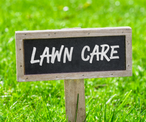 Lawn Care