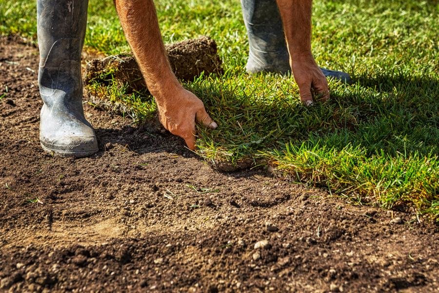 Laying Sod for a lawn