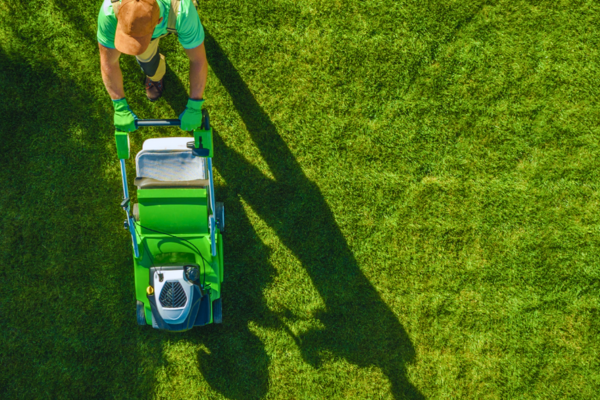 Essential Lawn Care Tips for a Lush, Green Yard Year-Round