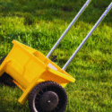 The Role of Fertilization in Maintaining a Healthy and Vibrant Lawn