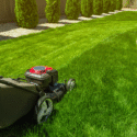 How to Keep Your Lawn Healthy Through Seasonal Changes