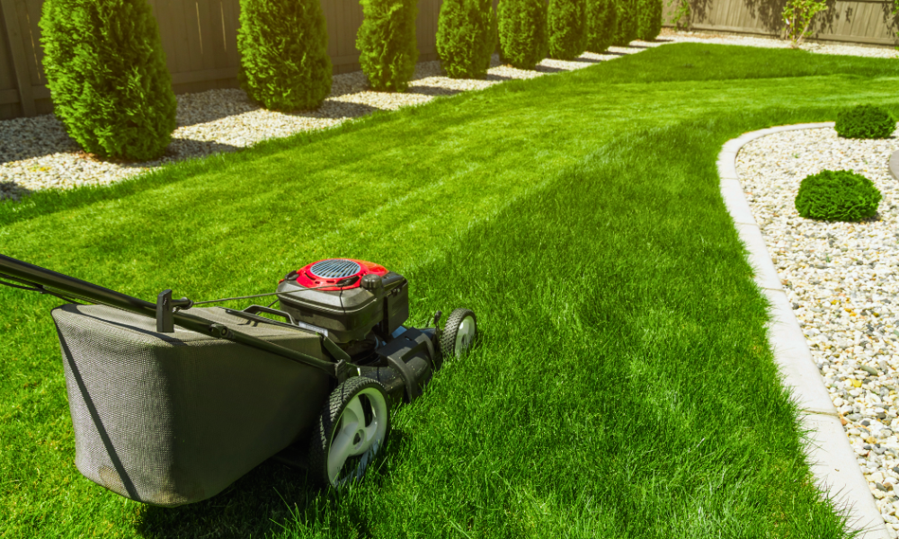 How to Keep Your Lawn Healthy Through Seasonal Changes